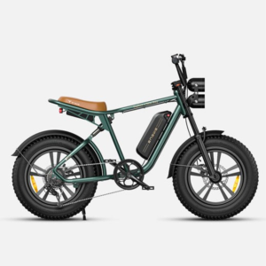 ENGWE M20 750W 75KM+75KM Max Speed 25KM/H Single & Dual Range E-bike
