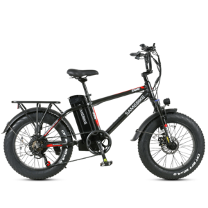 SAMEBIKE XWC05 20 Inch Fat Tire Ebike